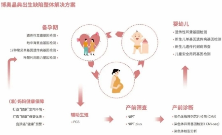 金年会晶典出生缺陷整体解决方案